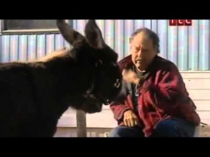 Секс с животными! Зоофилия! смотреть видео онлайн