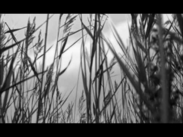 Noize MC — Выдыхай (Official Music Video)