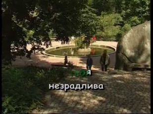Украинские народные —  Пісня про рушник {караоке}