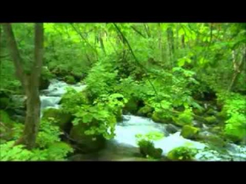 A Most Beautiful RELAXATION music with nature sounds of flowing river water down the streams !