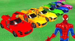 Мультики про Машинки Цветные Автомобили и Человек паук Детское Видео с Песенками для Малышей