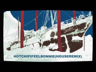 Hot Chip - I Feel Bonnie (House Remix)