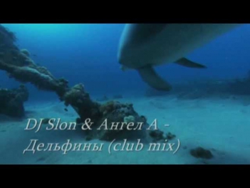 DJ Slon & Ангел А - Дельфины (Dolphins) (club mix) [HD]
