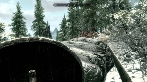 Skyrim lag when looking around any help?