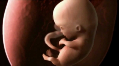 Как происходит зачатие и развитие ребёнка