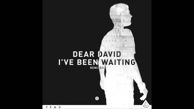 Dear David - I've Been Waiting (UMEK & Mike Vale Remix) [ICONS]
