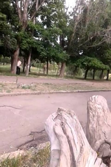 Дрочил в парке! )