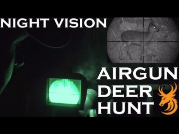 Extreme Airgun Hunting: Sika Deer with a Daystate Wolverine .303