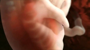Как происходит зачатие ребенка фантастическое видео