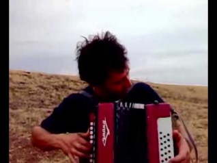 Игорь Растеряев  Ромашки   Camomiles  Russian accordeon