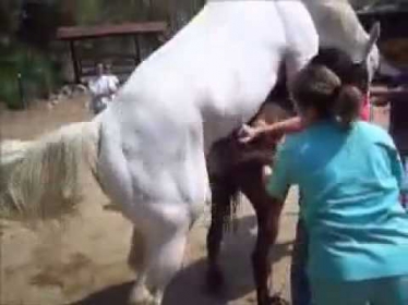 forced horse sex by girls