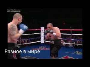 Узбек Боксёр нокаутировал Американца мощным ударом