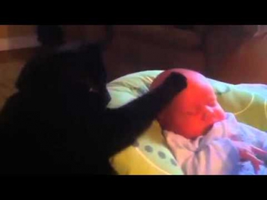 Кот успокаивает ребенка
