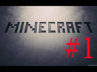 Minecraft #1 (Всё и сразу)