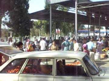 toshkent viloyati