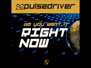 Pulsedriver - Do You Want It Right Now (Single Mix)