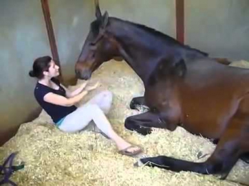 СЕКС: девушка и лошадь!