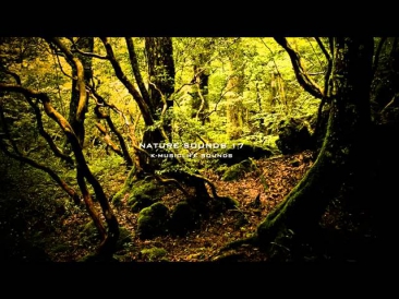 [MM] - Звуки Природы - Релаксация // Sounds of Nature - Relaxation