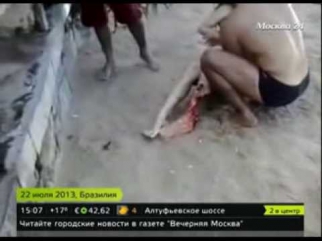 Туристы сняли на видео смерть девушки в пасти акулы. ВИДЕО