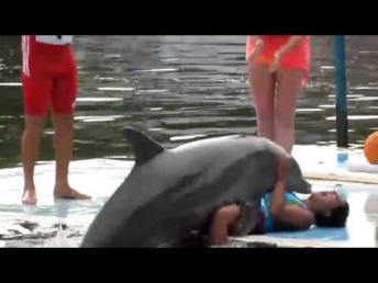 дельфин и девчонка трахаются