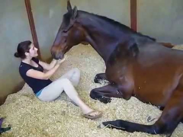 Girl and Horse - Great Bond Девушка и лошадь - Великий Бонд