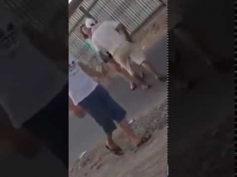 Ayolini katta yolda dopposlagan erkak Мужчина ужасно избил Женщину КазакистанПолное видео
