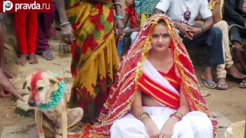В Индии девушка вышла замуж за собаку