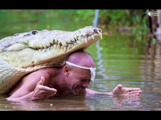 Дружба крокодила с человеком HD