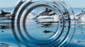 Звуки Природы Медитация Пение дельфинов