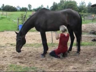 Cranio-Sacrale-Therapie mit Andrea Mais bei einem asthmakranken Pferd