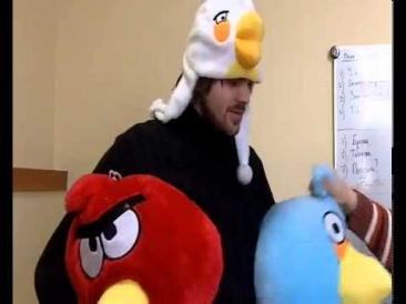 Купить мягкие игрушки Angry Birds в магазине Скачать видео