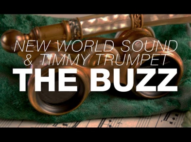 New World Sound & Timmy Trumpet - The Buzz (Original Mix)