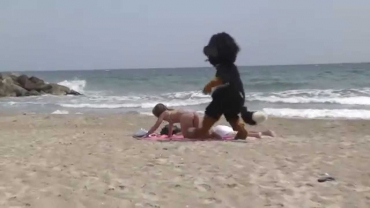 Бесплатный секс на пляже (free sex on the beach)