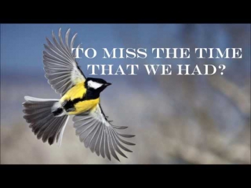 Birdy Home(Lyrics)