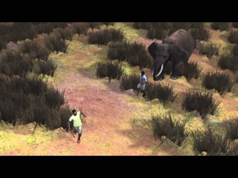 Elephant kills man: Ivory poacher gets crushed to death in Zimbabwe