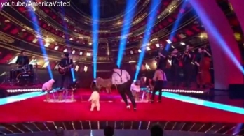 The Olate Dogs Finals - America got talent - AGT 2012