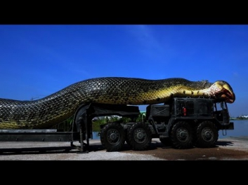 Самая большая змея -Энг катта Илонлар АНАКОНДА