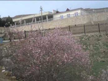 Uzbek Halq Qushiqlari (Foto Montaj ) Mart 2013