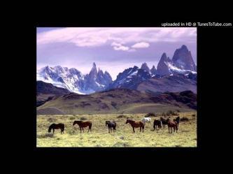 Unknown Artist - Music From The Andes