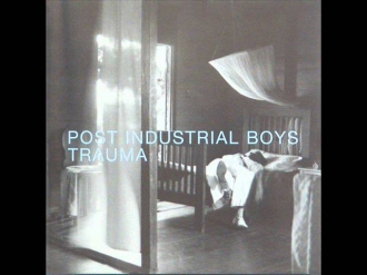 Post Industrial Boys - Take A Walk On The Wild Side