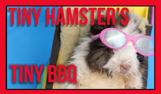 Tiny Hamster's Tiny BBQ (Ep. 8)