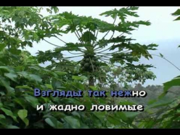 Караоке ► Русские Песни ♫  Утро туманное ♫ Karaoke