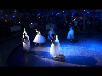Русский Классический Балет - балерины на свадьбу