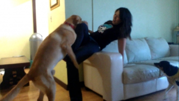 Asian Girl Dominated By Horny Dog